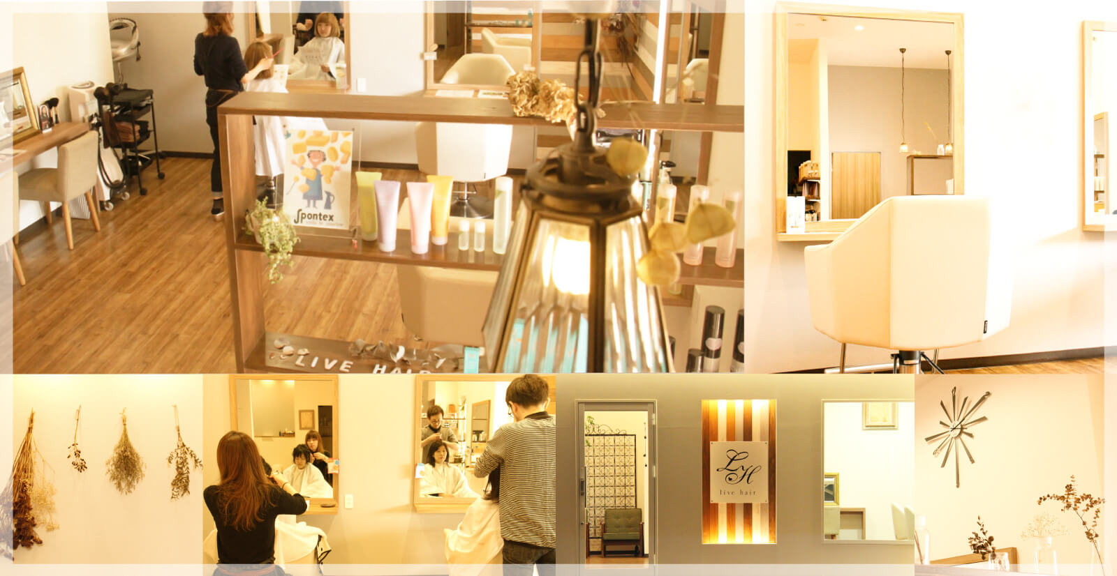 shop